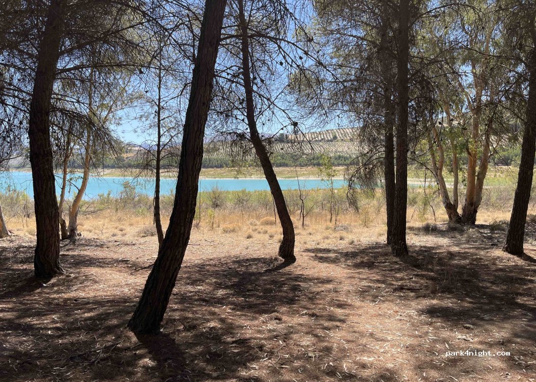(18126) Arenas del Rey - A-338 — foto 3