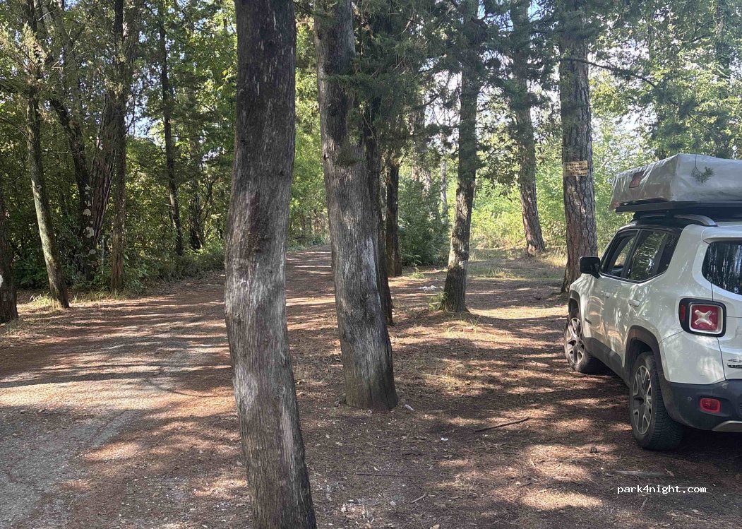 (50020) San Casciano in Val di Pesa - Via Grevigiana — foto 3