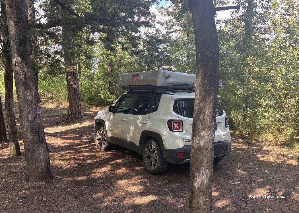 (50020) San Casciano in Val di Pesa - Via Grevigiana — foto 4