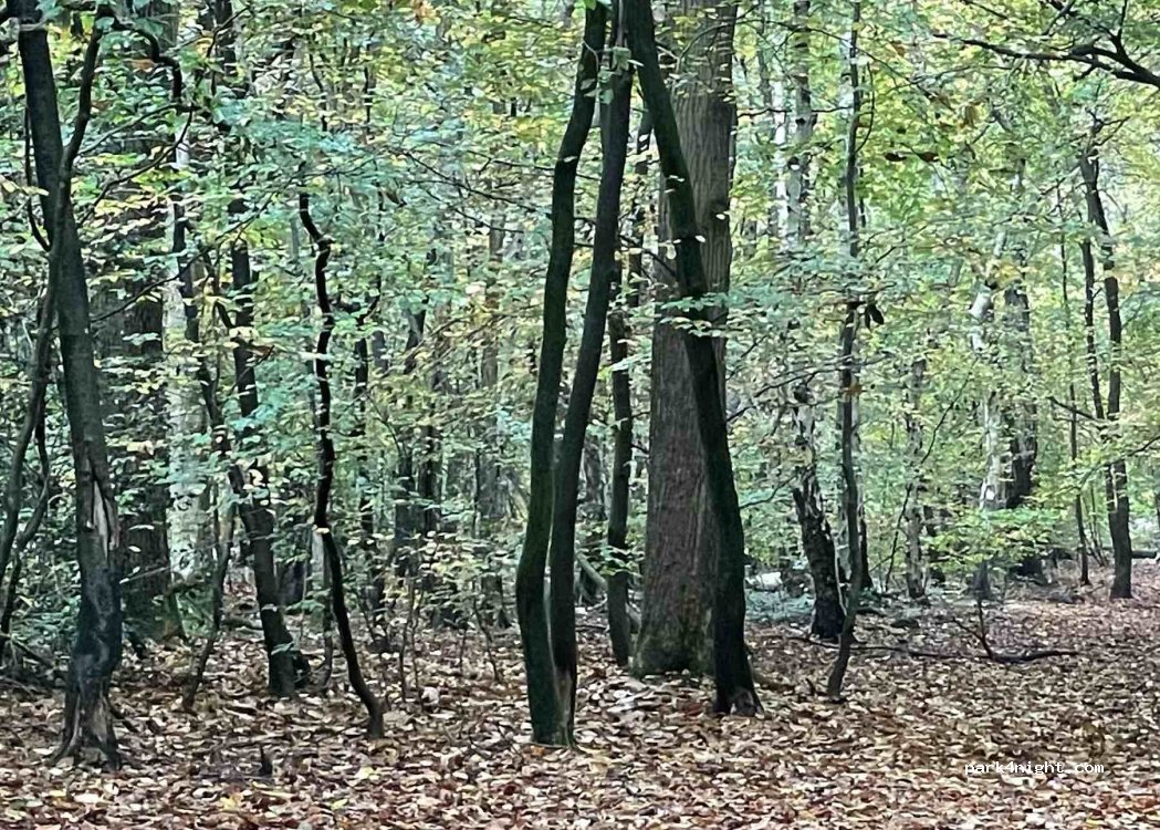 (RG9 5DA) South Oxfordshire - A4130 — foto