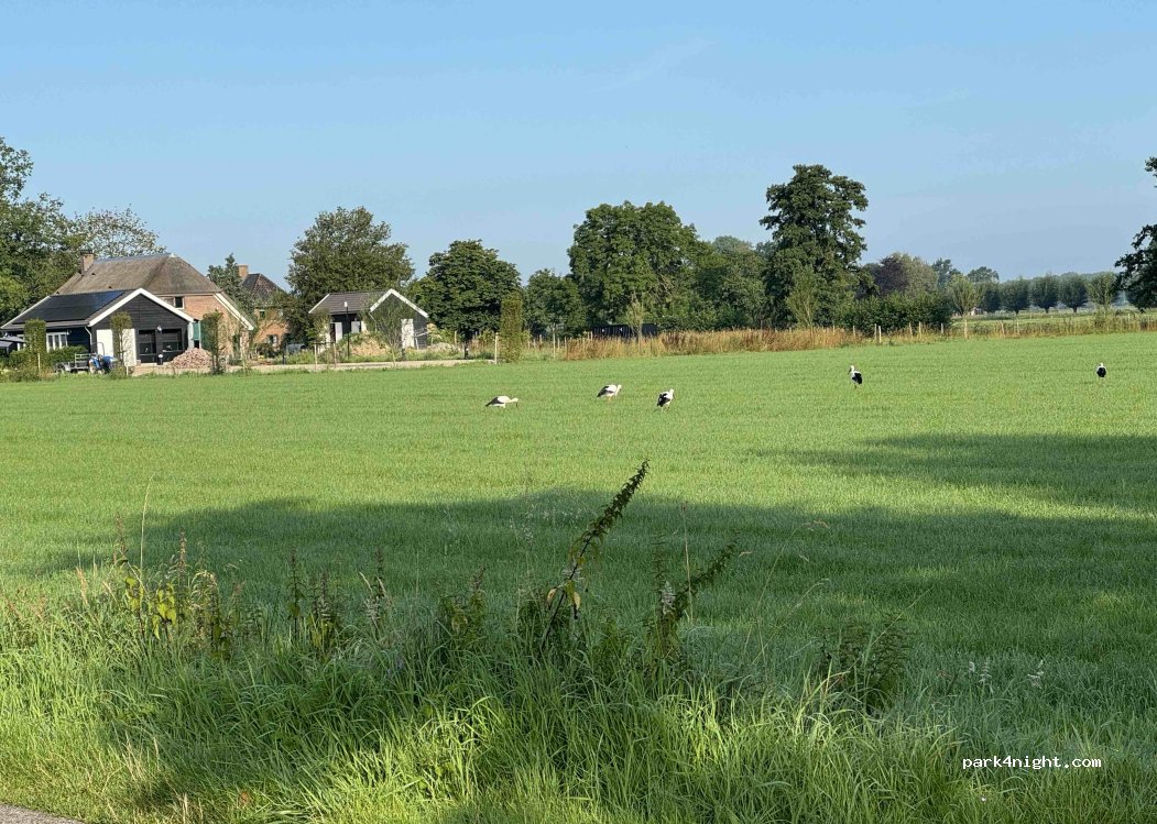 Antoonshoeve — foto