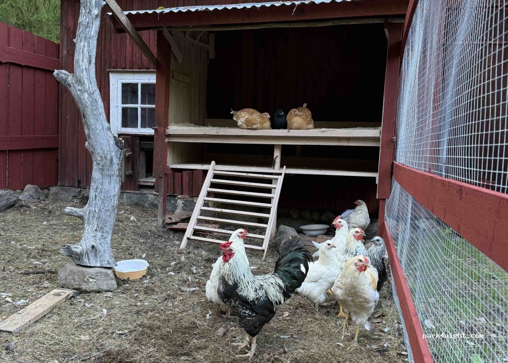 Himbeerhaus — foto