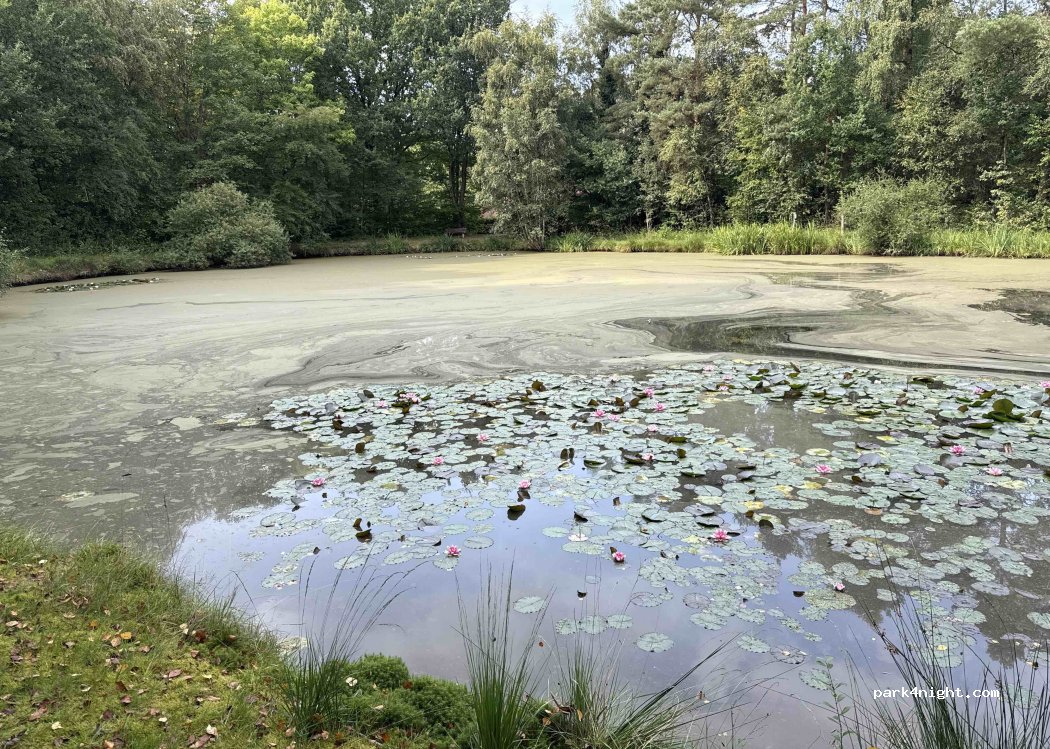 (27432) Basdahl - Am Sportplatz — foto 3