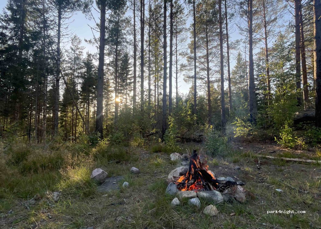 (711 77) Stråssa - — foto 3