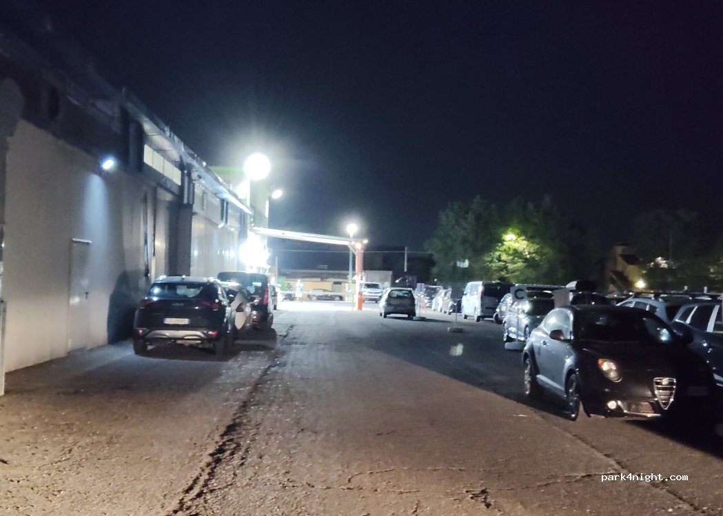 (00054) Fiumicino - Via delle Pinne — foto