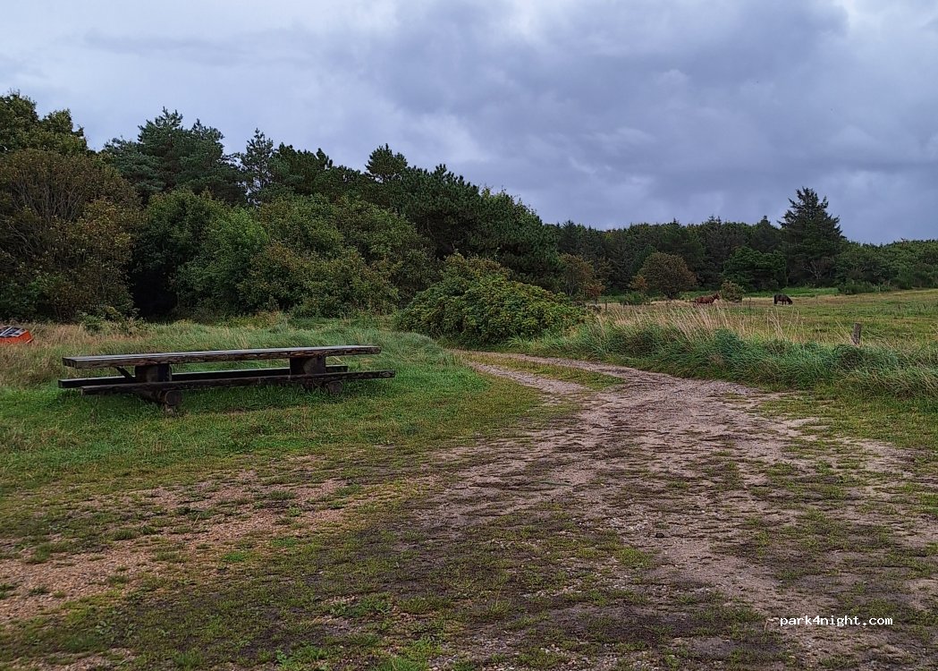 (6710) Esbjerg - Marbækstien — foto 3
