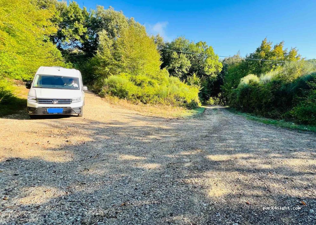 (53038) San Gimignano - Strada Provinciale di Cellole — foto
