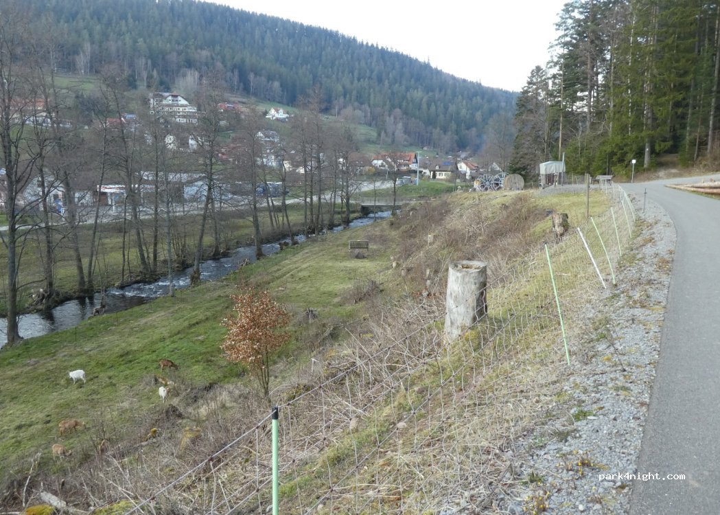 (75323) Bad Wildbad - Enztraufweg — foto