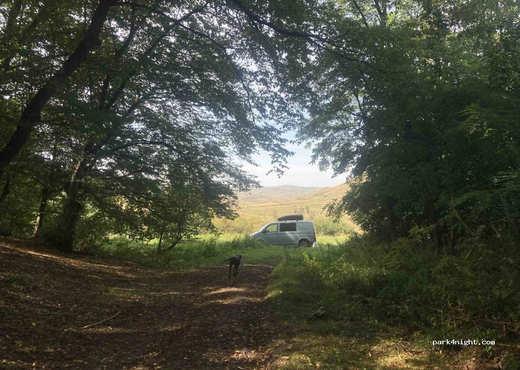 (407108) Tăușeni - — foto