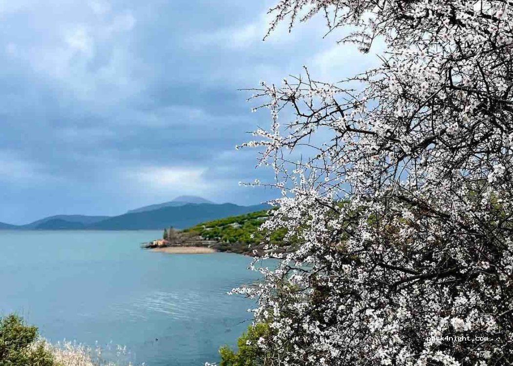 Liqeni Agroturizëm Restorant & Camping — foto 5