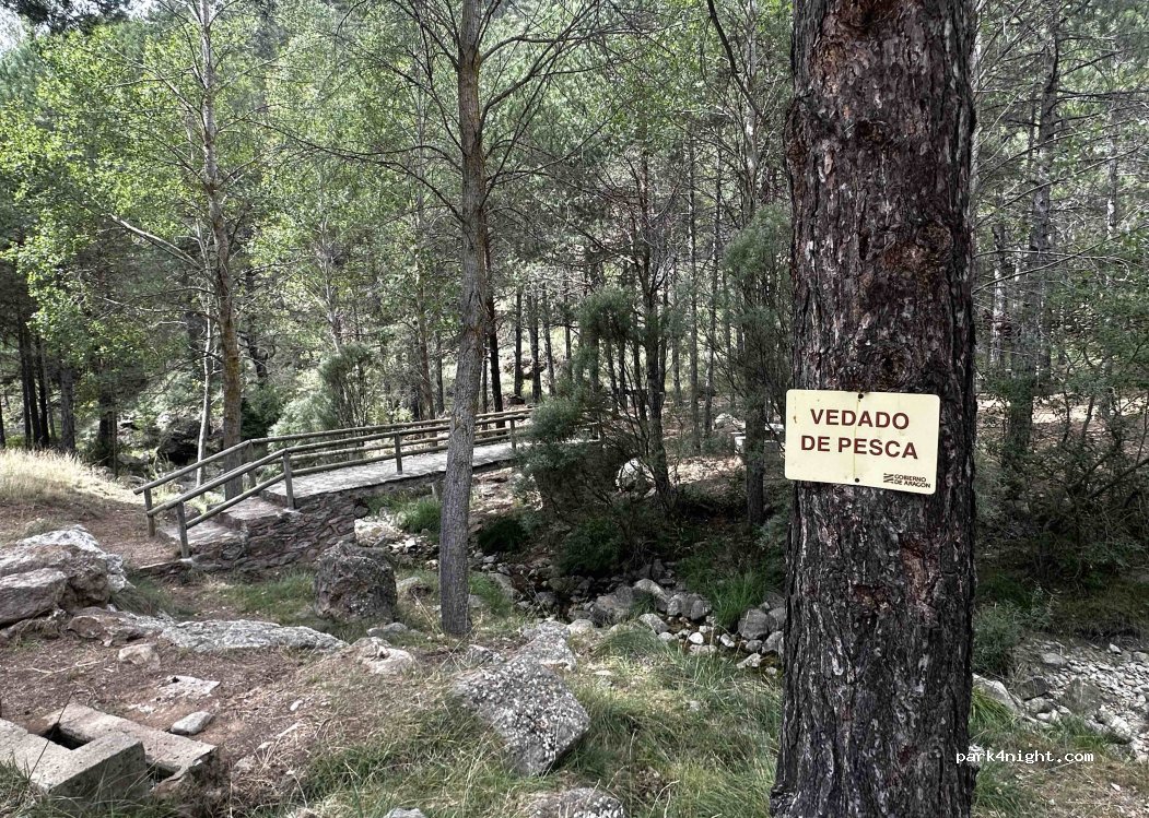 (44412) Linares de Mora - camino al Pino del Escobón 977 m — foto 2