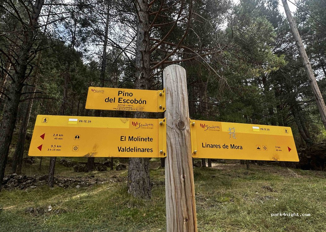 (44412) Linares de Mora - camino al Pino del Escobón 977 m — foto 4