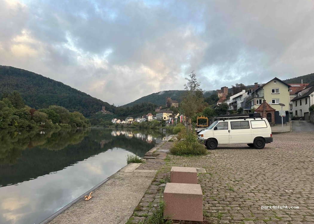(69239) Neckarsteinach - Neckarstraße — foto
