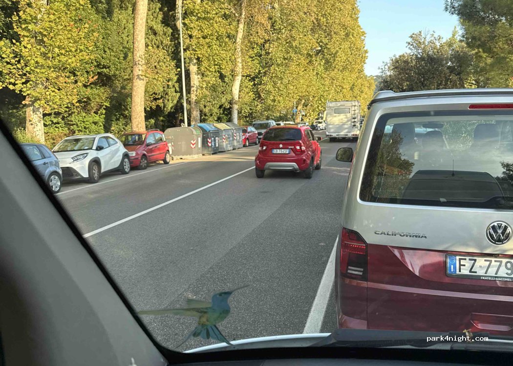 (34136) Triest - Viale Miramare — foto 2