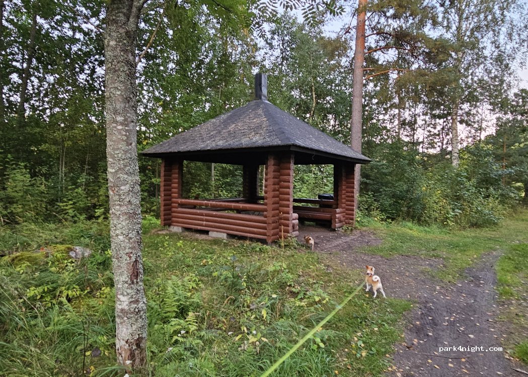 (19600) Hartola - Aurinkorannantie — foto 2