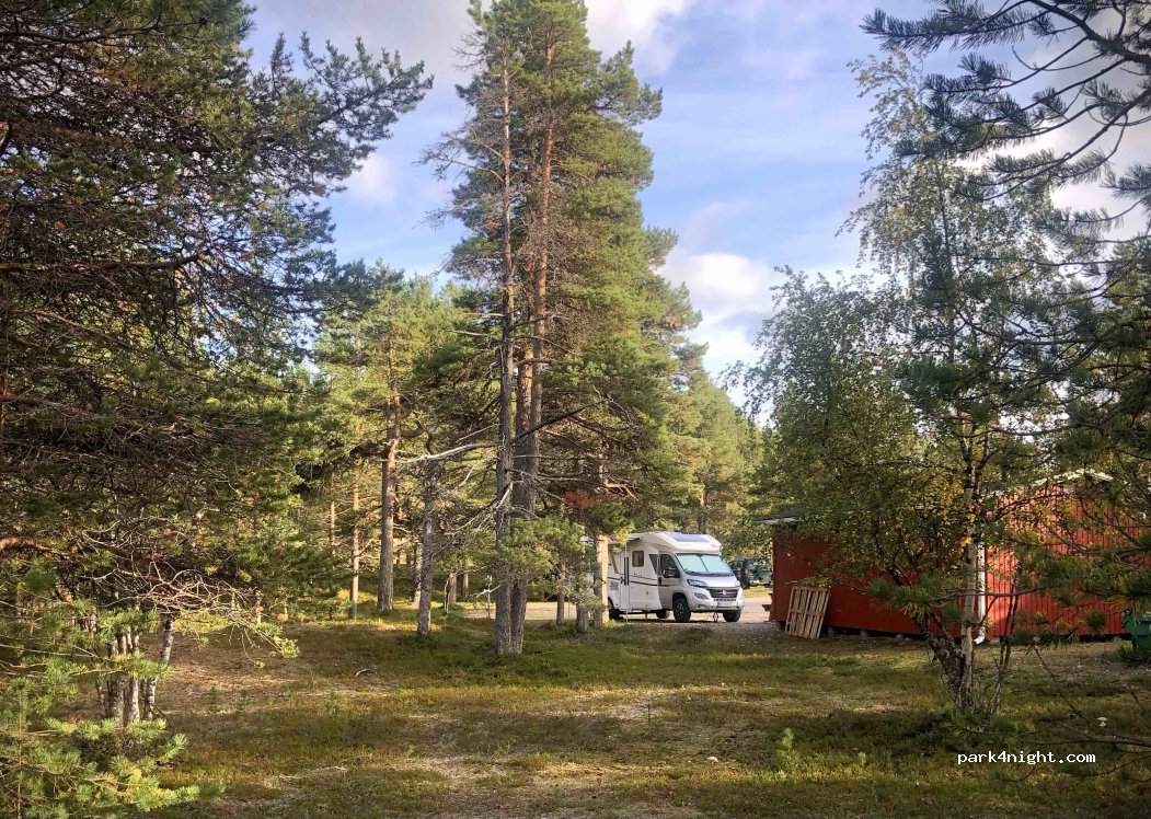 Reindeer farm Toini Sanila — foto