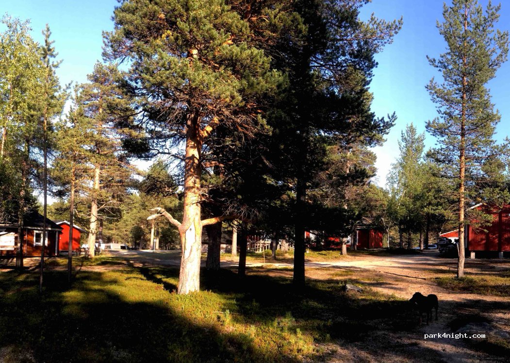 Reindeer farm Toini Sanila — foto 3