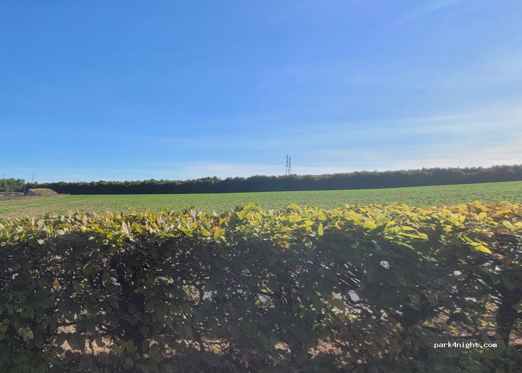 (51430) Bezannes - Rue de la Prieuse — foto 5