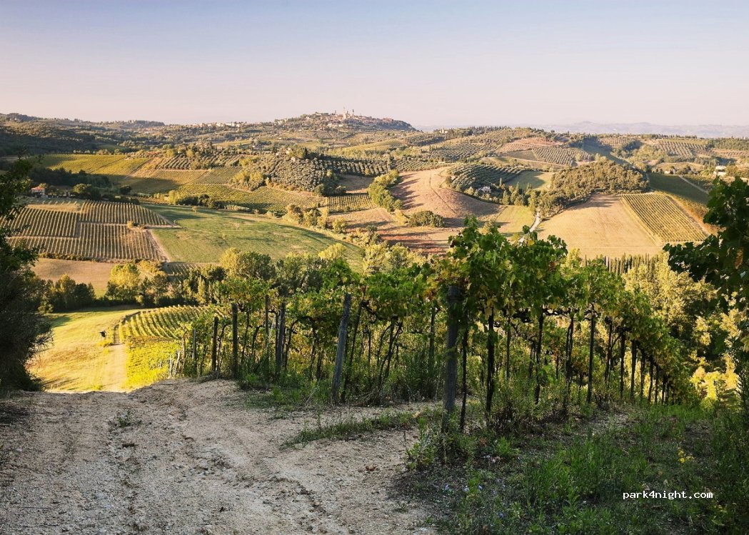 (53037) San Gimignano - Unnamed Road — foto 4