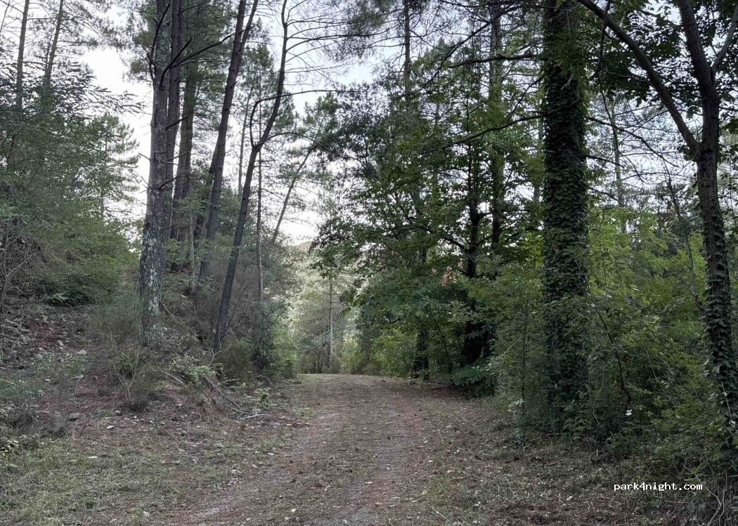 (30110) Sainte-Cécile-d'Andorge - — foto 2