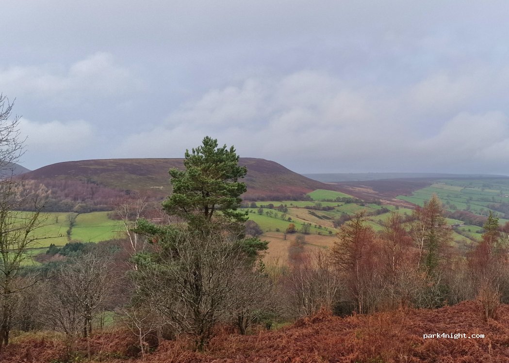 (YO62 5NB) Ryedale - Newgate Bank — foto 4
