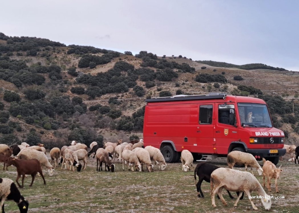 (18452) Juviles - Camino de Las Heras — foto 3
