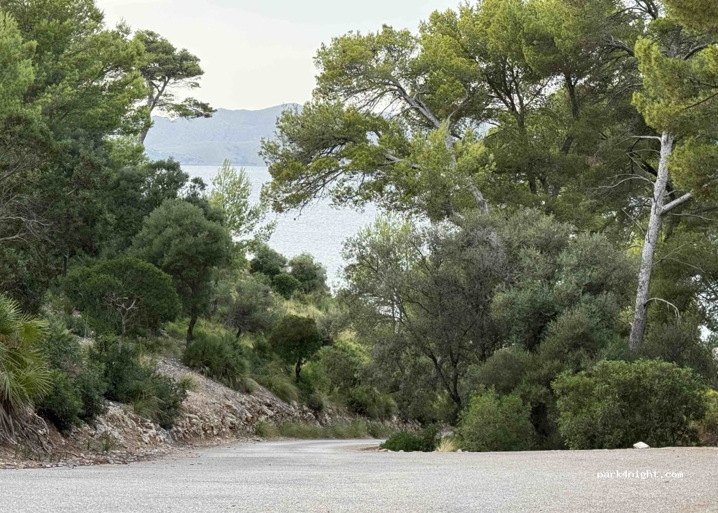 (07410) Alcúdia - alberg de la Victòria — foto