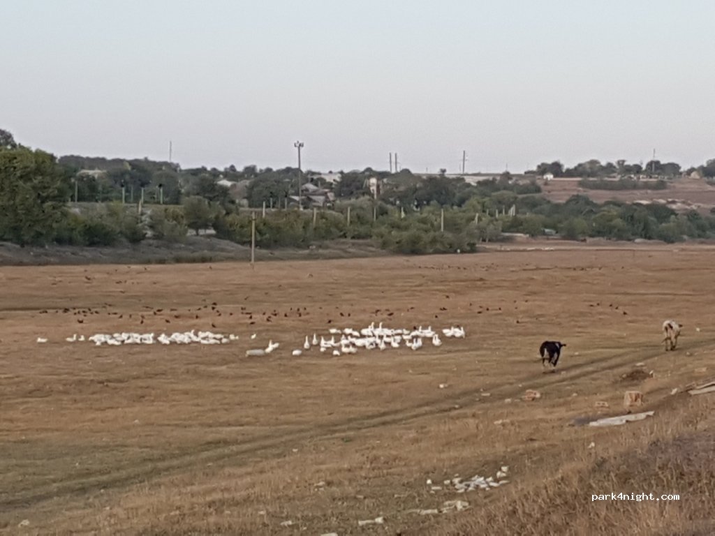 () Vărvăreuca - R18 — foto 3