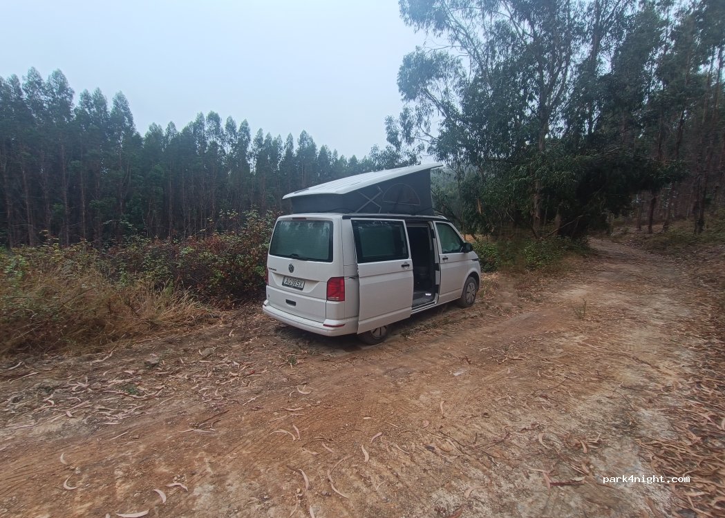 (7639-174) São Luís - — foto