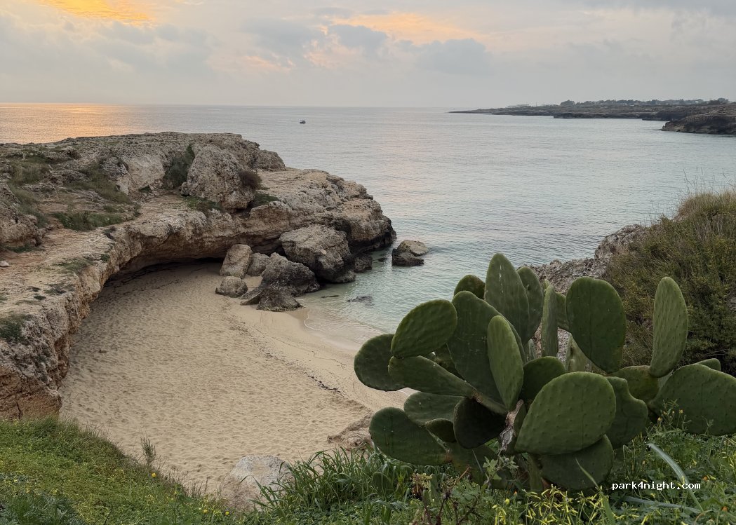 (70043) Monopoli - Strada Procaccia — foto 4