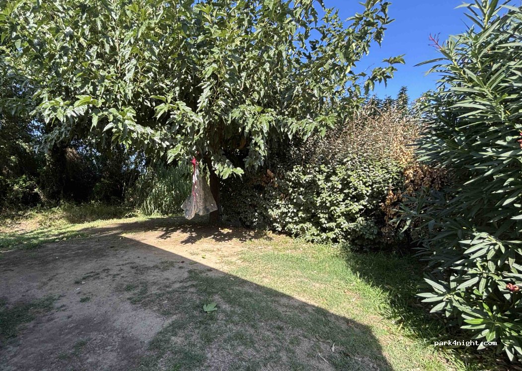 Camping Paradis Le Pearl — foto 2