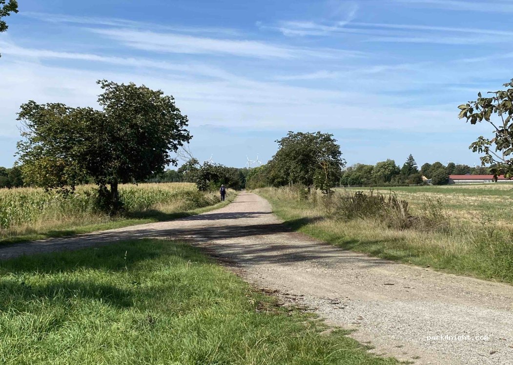(06458) Selke-Aue - Cochstedter Weg — foto 3