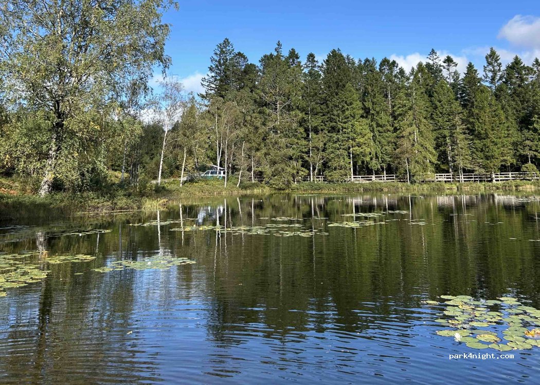 (44292) Spekeröd - Unnamed road — foto