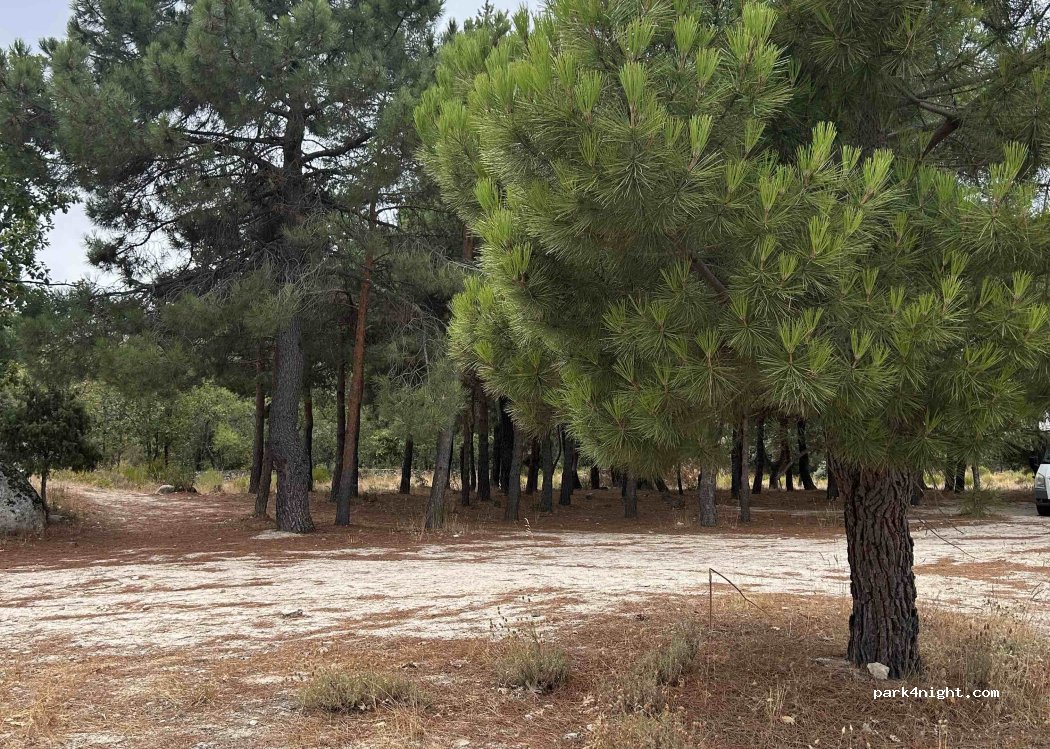 (28751) La Cabrera - — foto