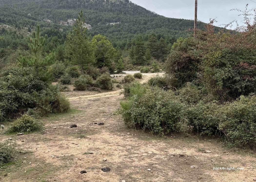 (20224) Albertacce - D 84 — foto 2