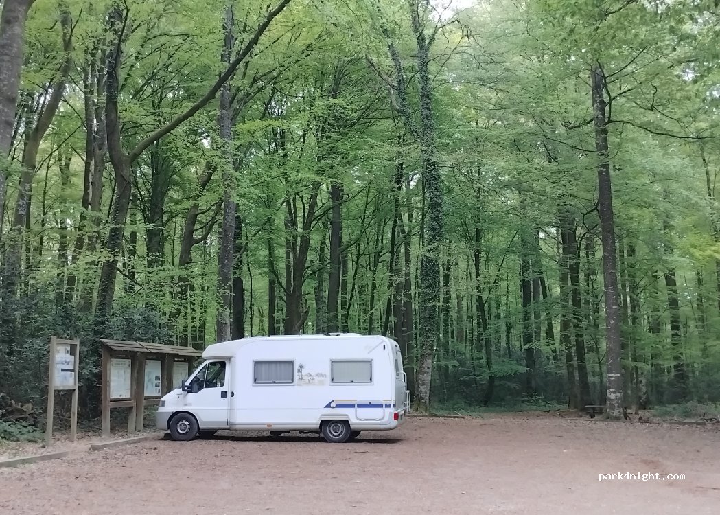 (72150) Saint-Pierre-du-Lorouër - — foto 2