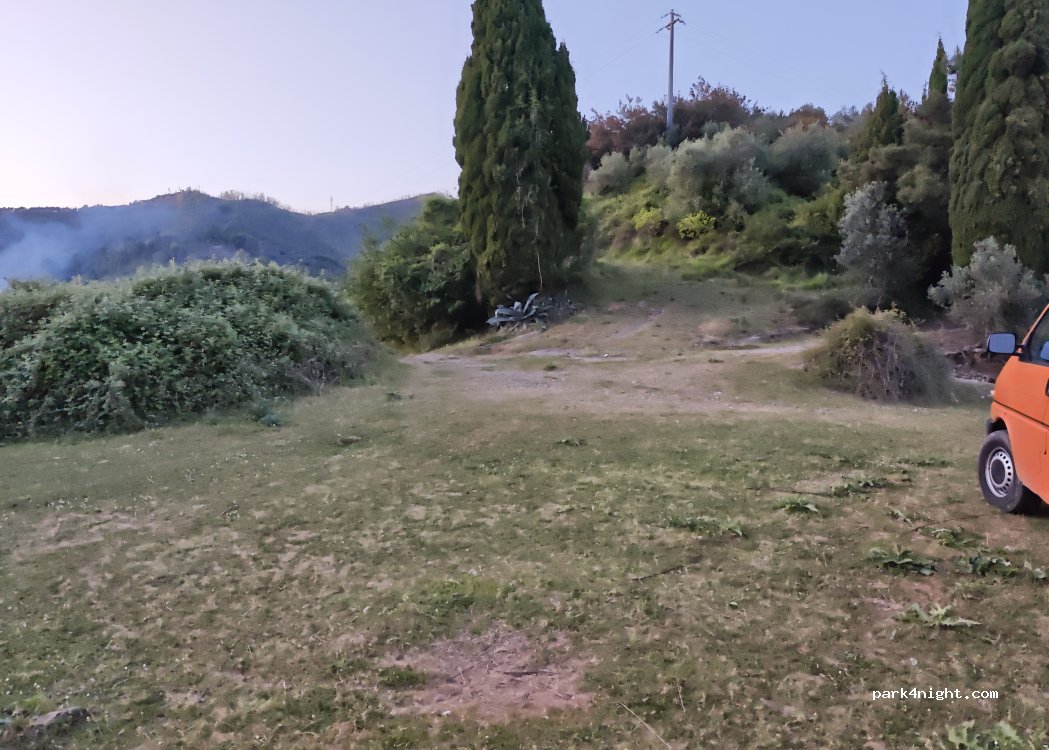 (55050) Massarosa - Via degli olivi — foto