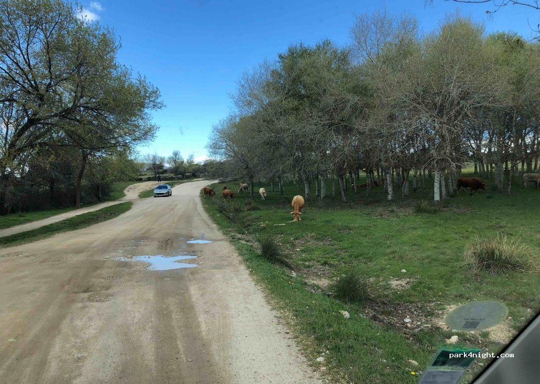 (28270) Colmenarejo - Camino de Villamantilla — foto 3