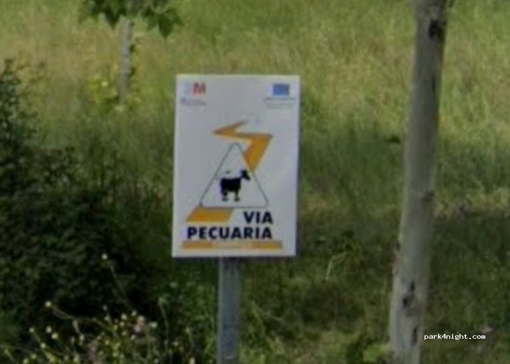 (28270) Colmenarejo - Camino de Villamantilla — foto 4