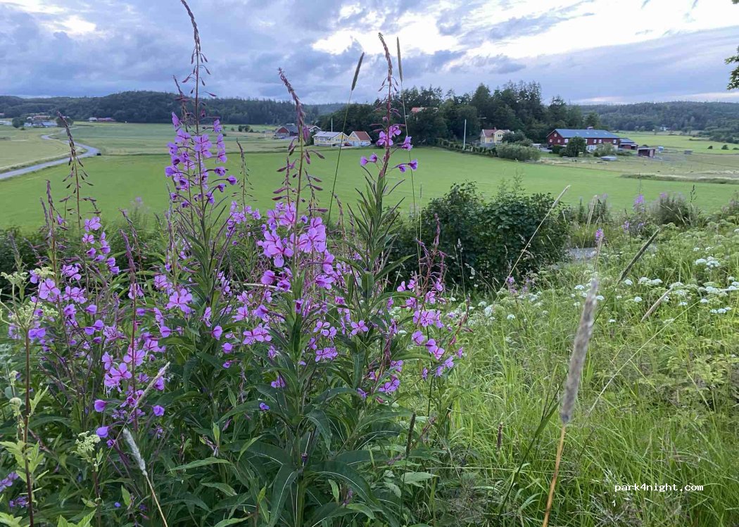 (42471) Olofstorp - Bergums Källegårdsväg 9 — foto 5