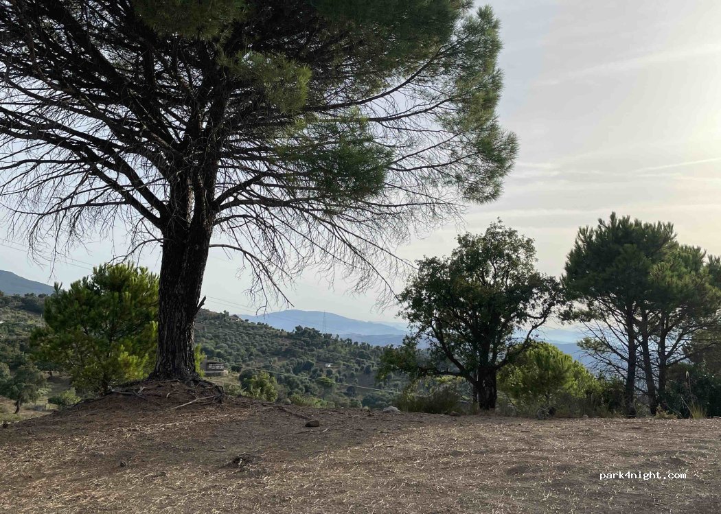 (90010) Gratteri - — foto 2