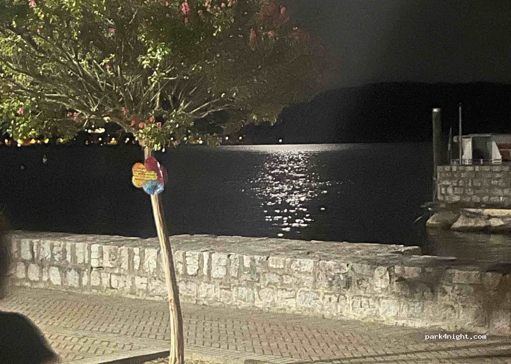 (13886) Viverone - Viale Lungo Lago Ignazio Tarello — foto 2