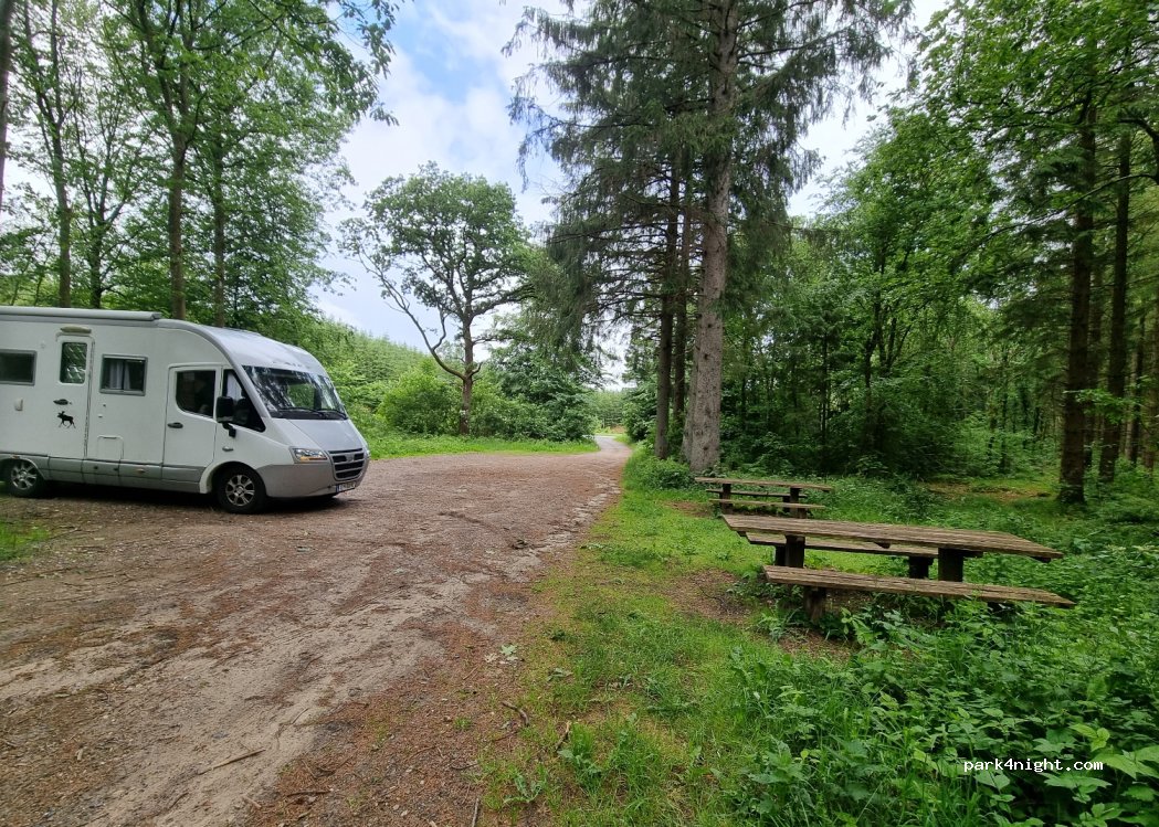 (9520) Skørping - 11 Vælderskoven — foto