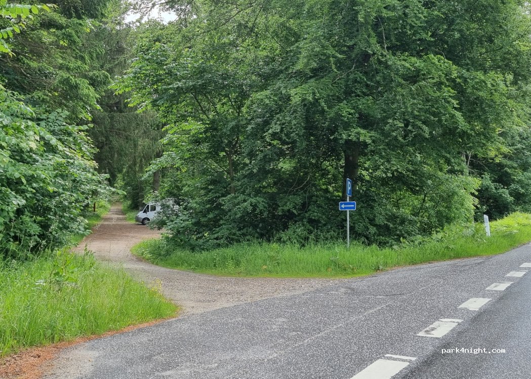 (9520) Skørping - 11 Vælderskoven — foto 2