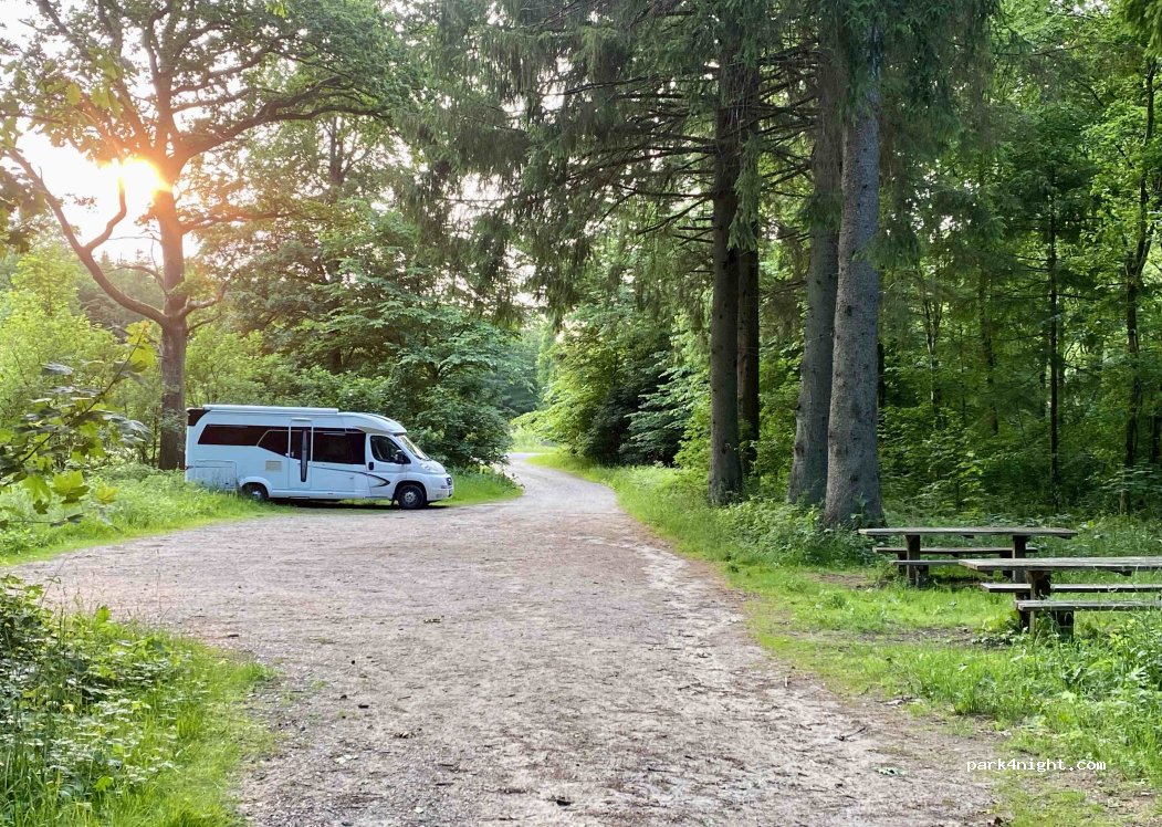 (9520) Skørping - 11 Vælderskoven — foto 4