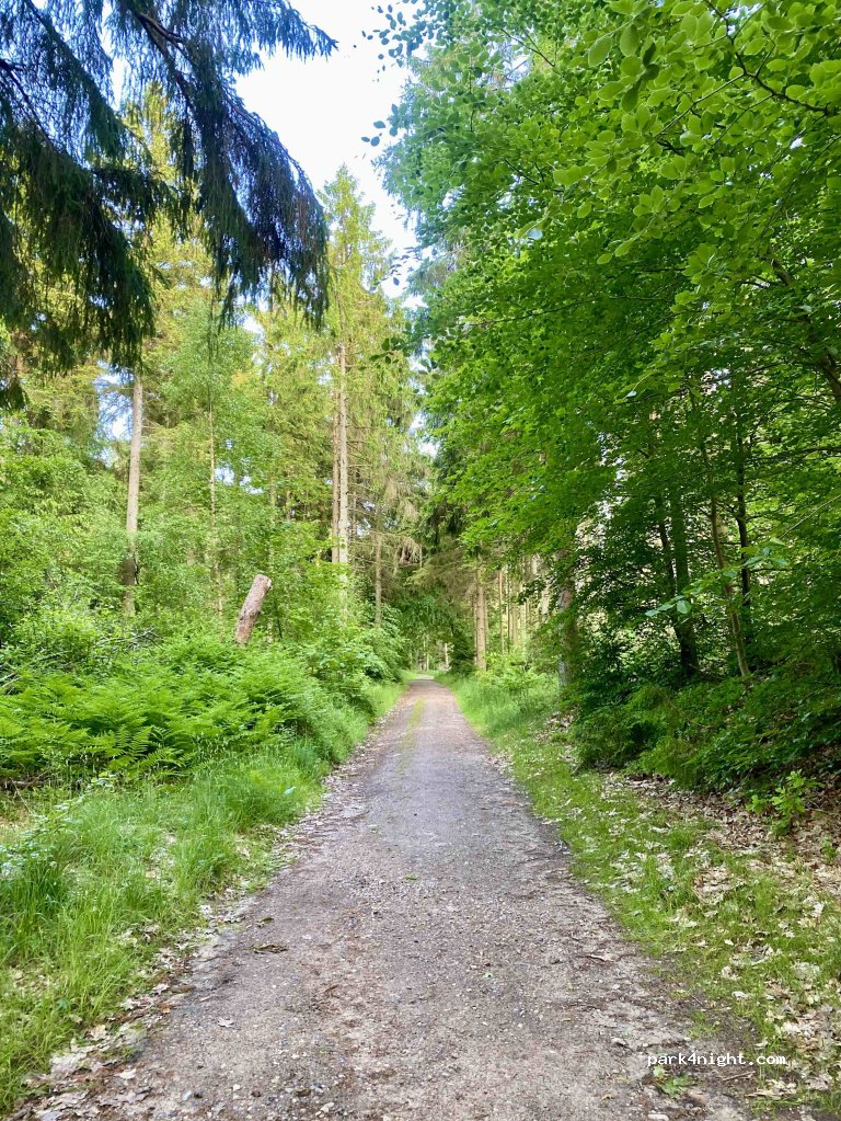 (9520) Skørping - 11 Vælderskoven — foto 5