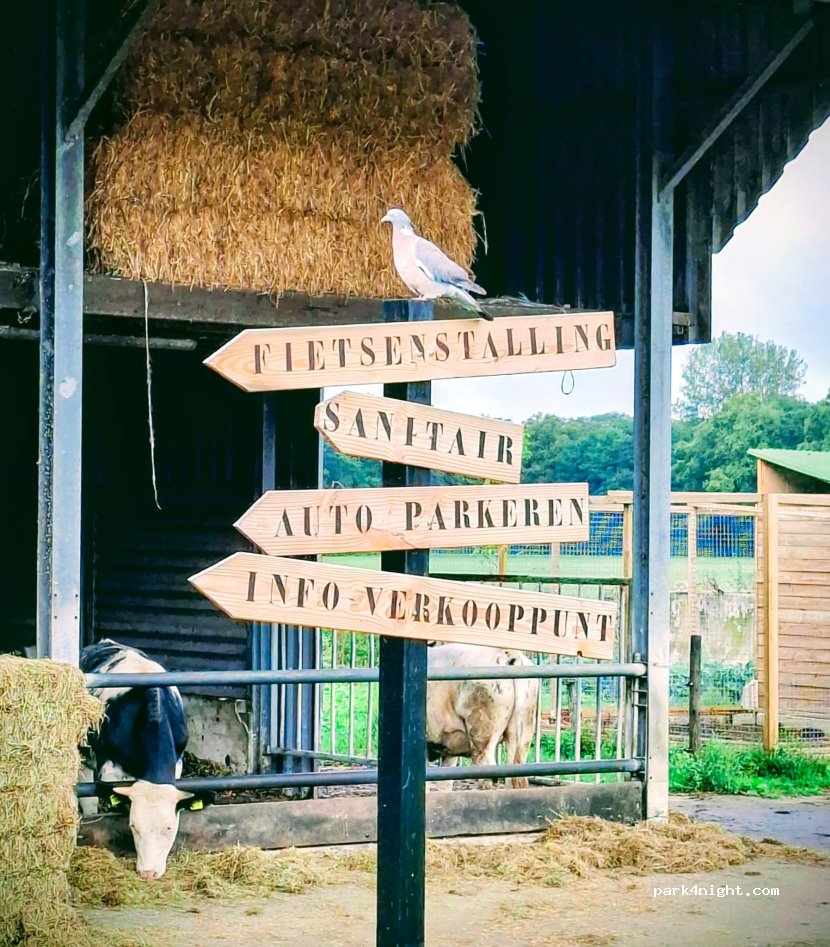 Camperplaats Erve Hagman — foto 4
