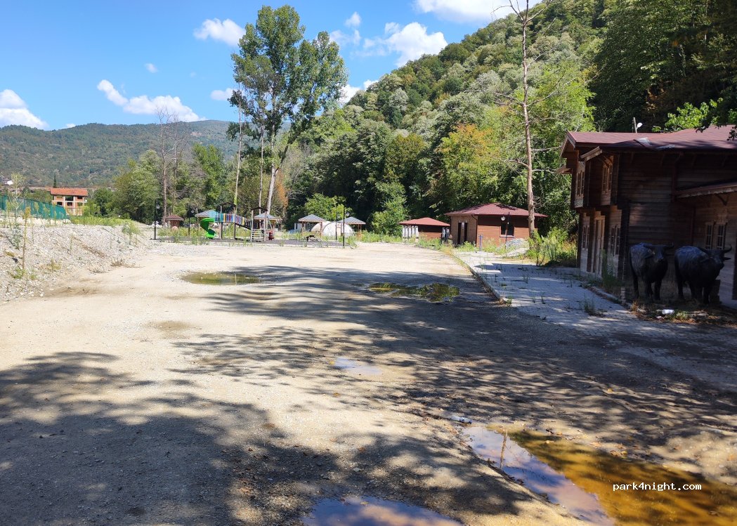 (78700) Yenice - Şeker Kanyonu Mesire alanı — foto