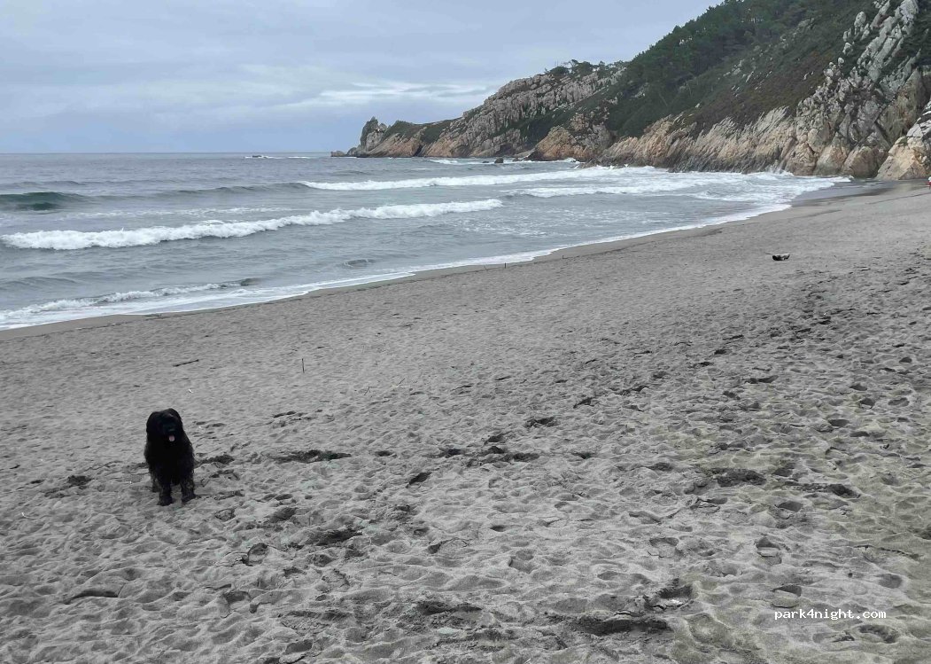 (33793) Navia - Unnamed Road — foto 4