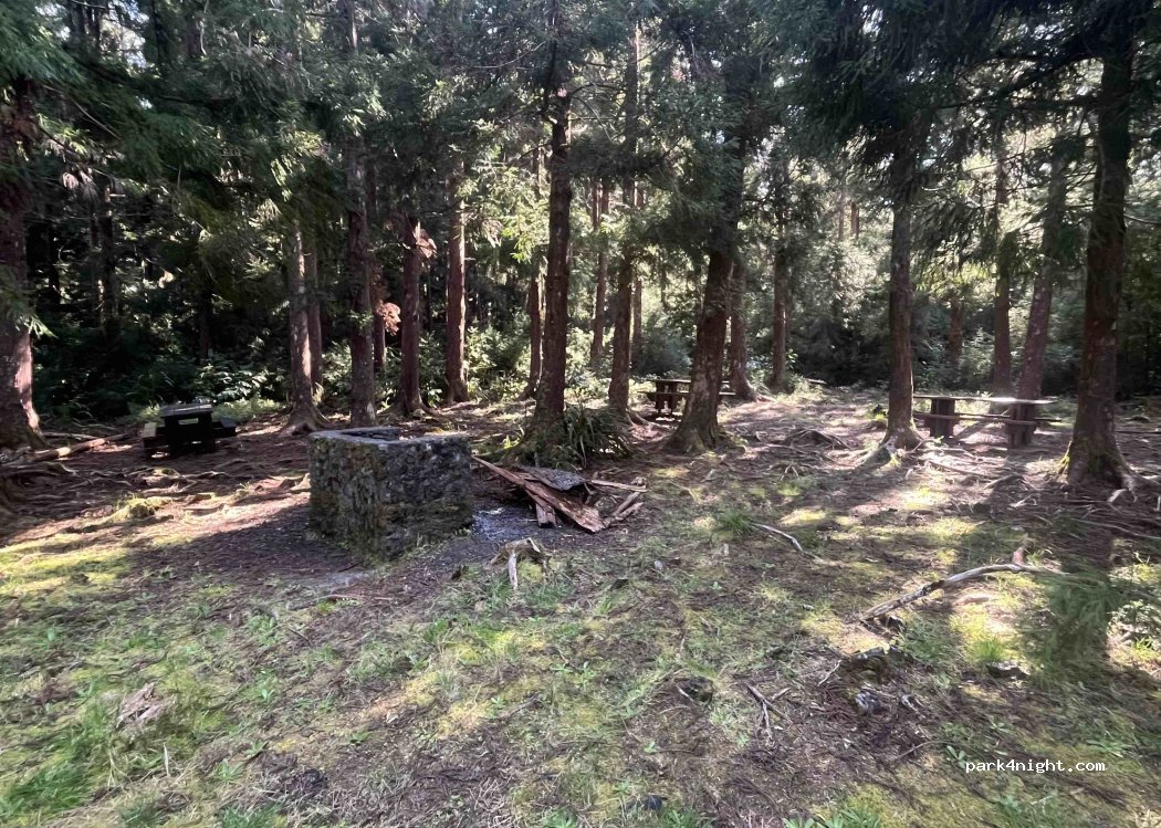 (97433) Salazie - Route Forestière de Bébour-Bélouve — foto 3